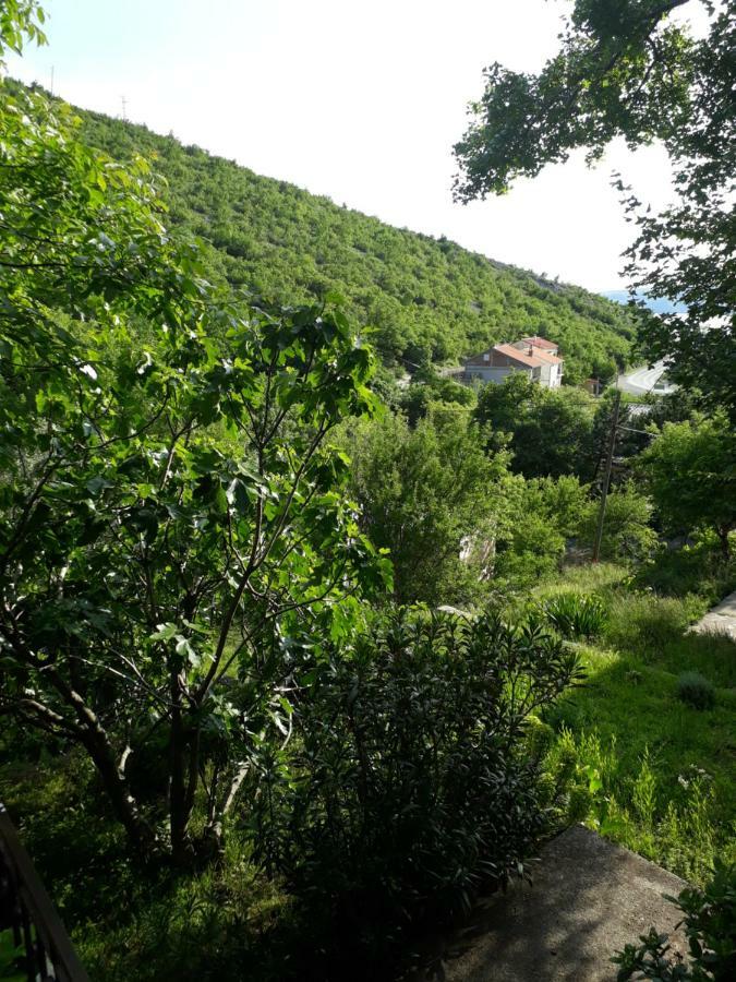 Apartments Lucija سينج المظهر الخارجي الصورة